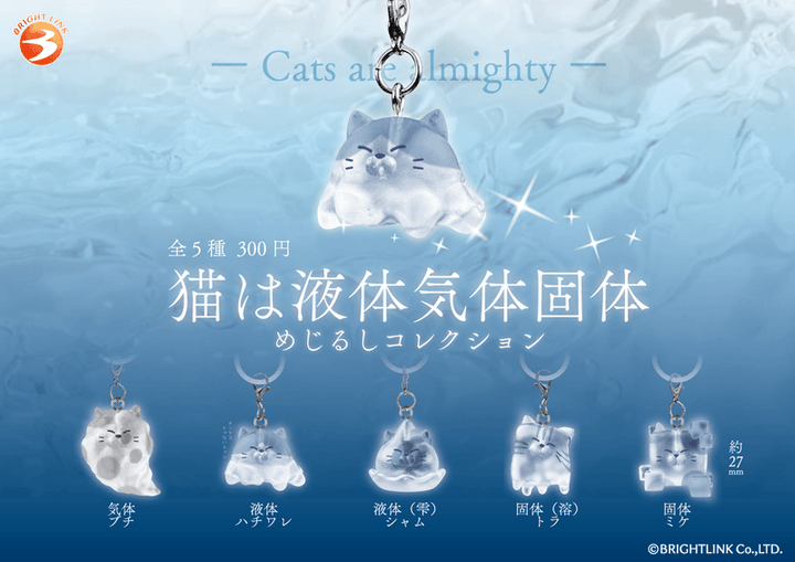 Cats Are Liquid, Gas & Solid Marker Charm (Box of 12)
