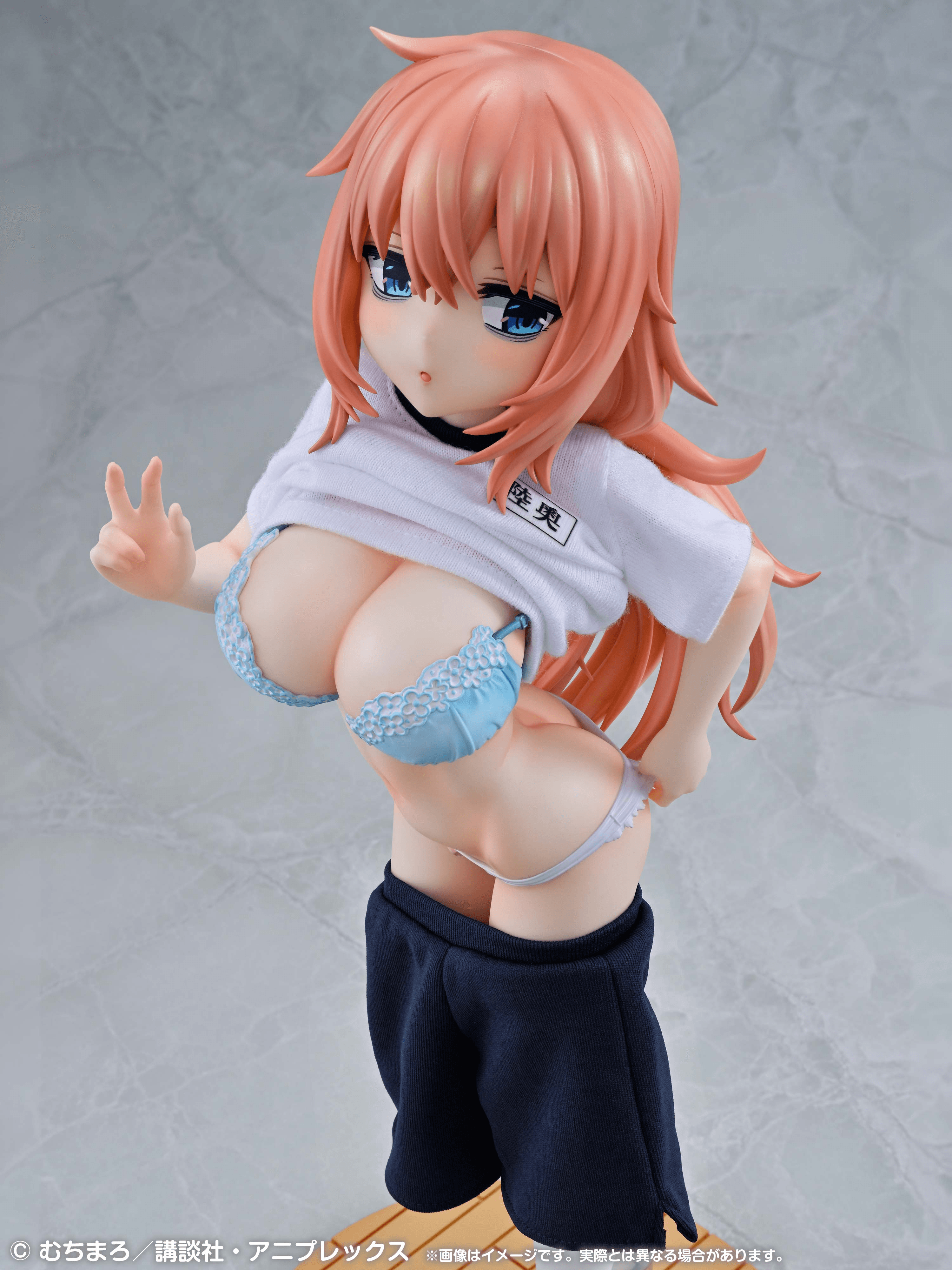 Re▼Dress Komaro Michinoku 1/4 P.E. Uniform Ver.