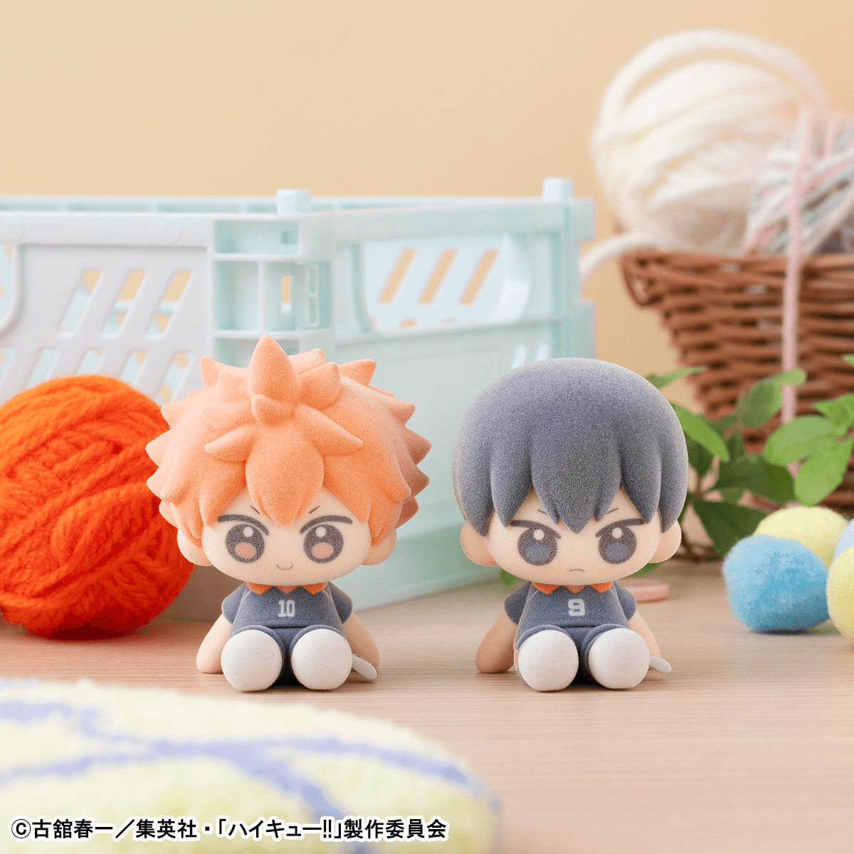 Nuippo Haikyu!! (Box of 6)
