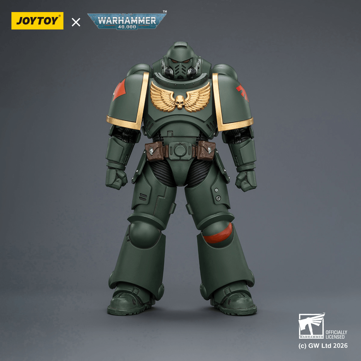 Dark Angels Intercessor with Bolt Rifle, Bolt Pistol and Chainsword | 6927054403868