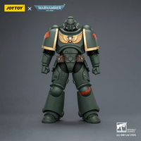 Dark Angels Intercessor with Bolt Rifle, Bolt Pistol and Chainsword | 6927054403868