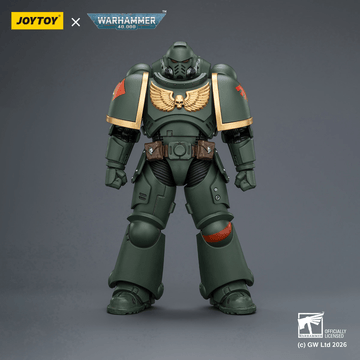 Dark Angels Intercessor with Bolt Rifle, Bolt Pistol and Chainsword | 6927054403868