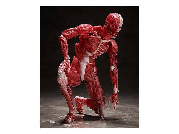 [GoodSmile] figma Human Anatomical Model | 4570001510427
