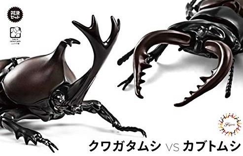 Fujimi Biology Edition Beetle vs Stag Beetle Showdown Set | 4968728170862