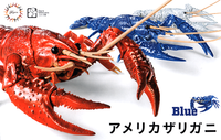 Fujimi Biology Edition Crayfish (Blue) | 4968728170879