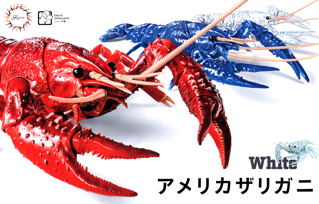 Fujimi Biology Research 24EX-2 Procambarus Clarkii / Louisiana Crawfish (White) Biology Edition | 4968728170886