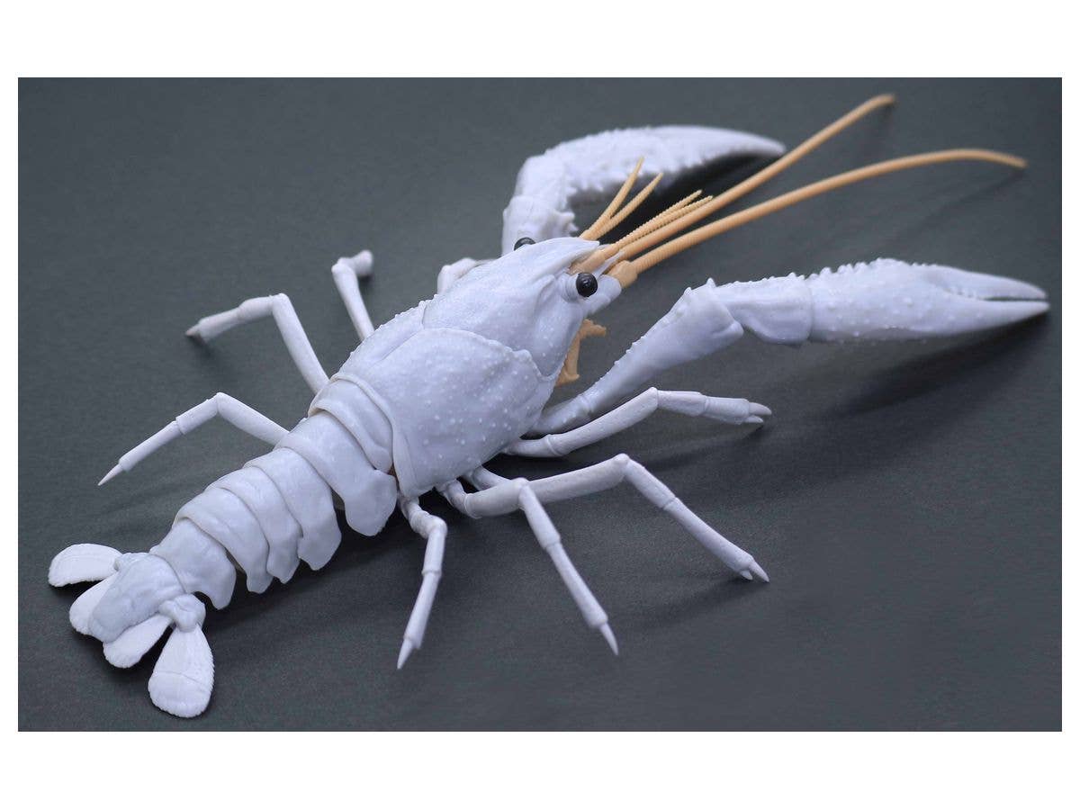 Fujimi Biology Research 24EX-2 Procambarus Clarkii / Louisiana Crawfish (White) Biology Edition | 4968728170886