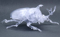 Fujimi Biology Edition Beetle (Clear) | 4968728171043