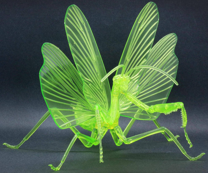 Fujimi Non Scale Biology Edition Big Mantis (Clear Green) | 4968728171067