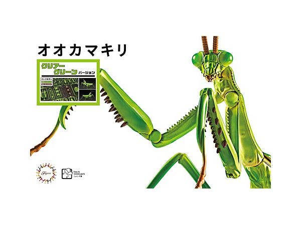 Fujimi Non Scale Biology Edition Big Mantis (Clear Green) | 4968728171067