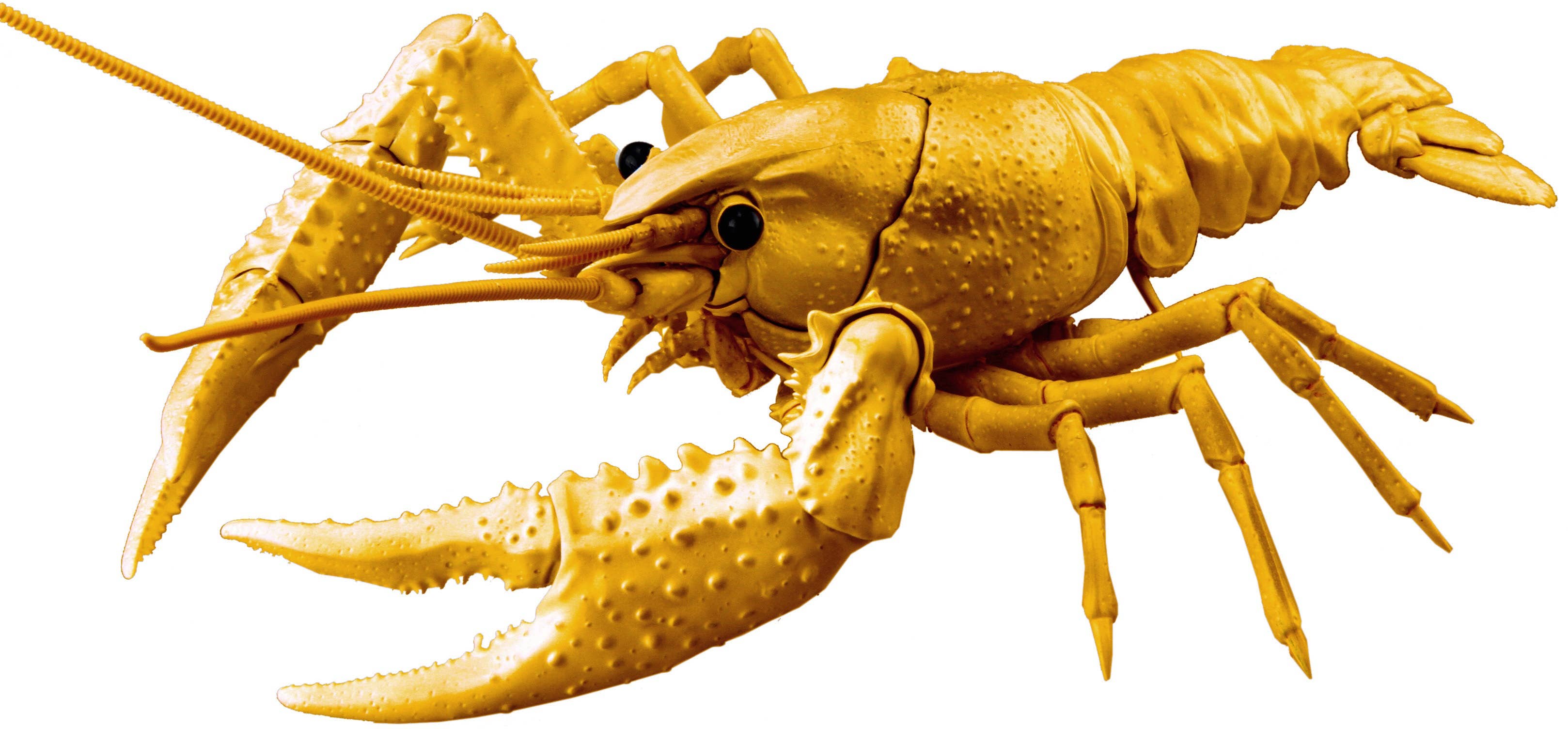 Fujimi Biology Edition Crayfish (Gold) | 4968728171081