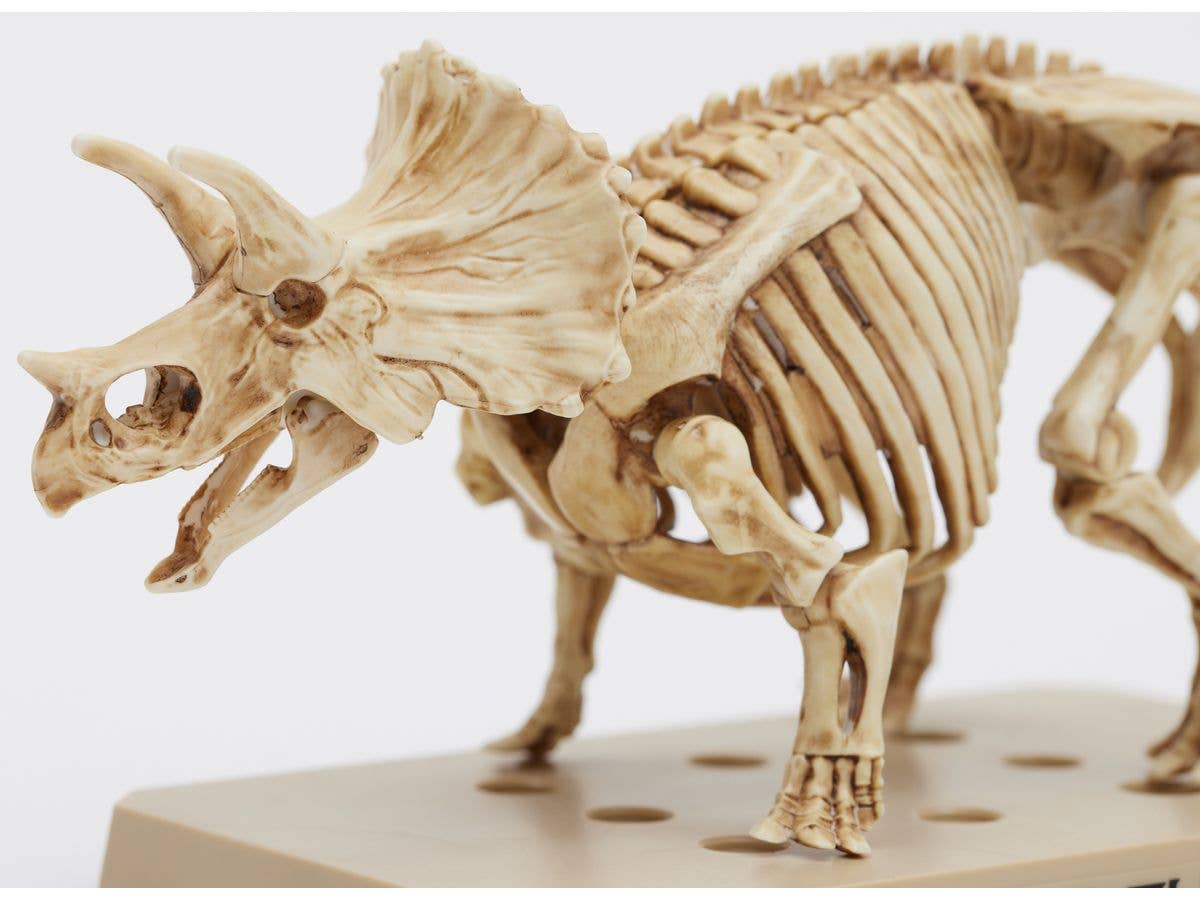 Mr Hobby TRICERATOPS / STEGOSAURUS SET | 4973028928792