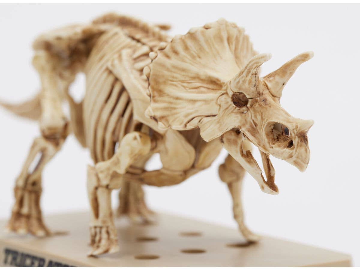 Mr Hobby TRICERATOPS / STEGOSAURUS SET | 4973028928792