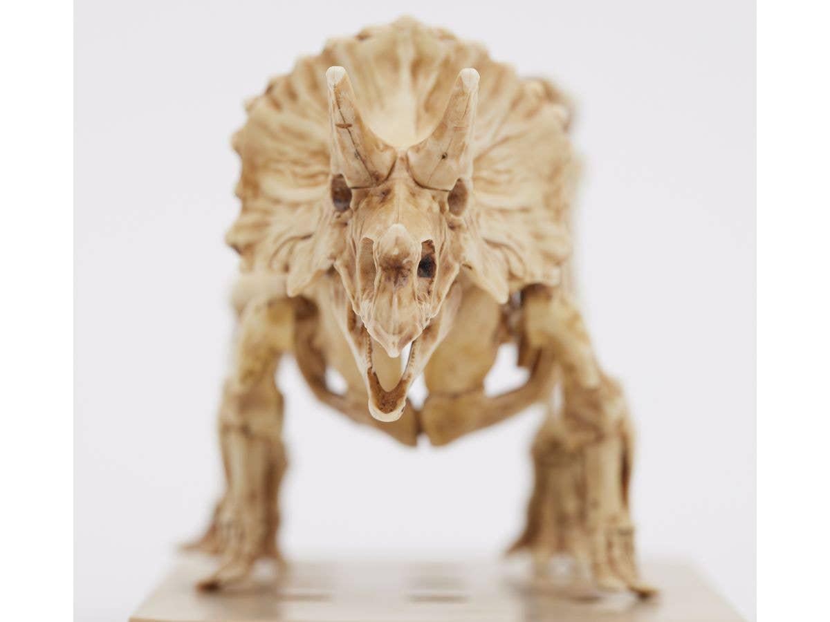 Mr Hobby TRICERATOPS / STEGOSAURUS SET | 4973028928792