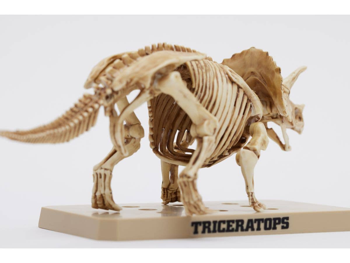 Mr Hobby TRICERATOPS / STEGOSAURUS SET | 4973028928792
