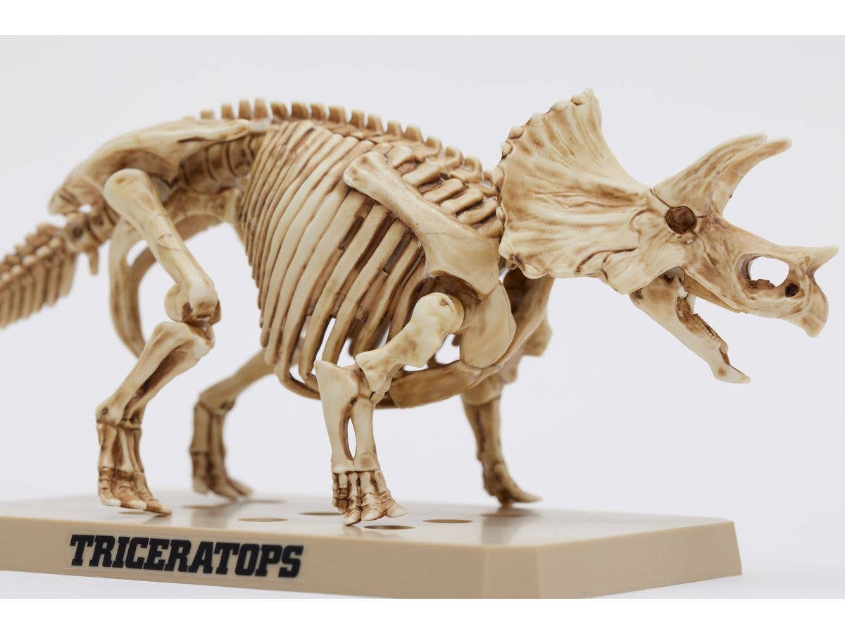 Mr Hobby TRICERATOPS / STEGOSAURUS SET | 4973028928792