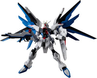 ZGMF-X10A FREEDOM GUNDAM RENEWAL