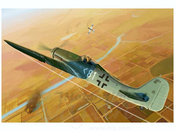 Hobby Boss 1/48 Focke-Wulf FW190D-11 | 6939319217189
