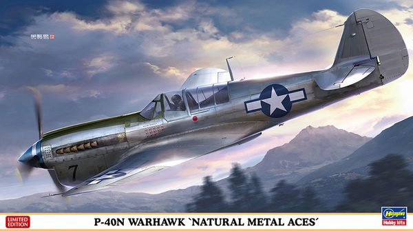 Hasegawa 1/48 P-40N Warhawk 'Natural Metal Aces' Propeller Plane