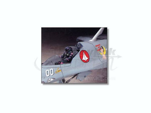 Hasegawa 1/72  VF-22S "SVF-124 MOON SHOOTERS" | 4967834657847