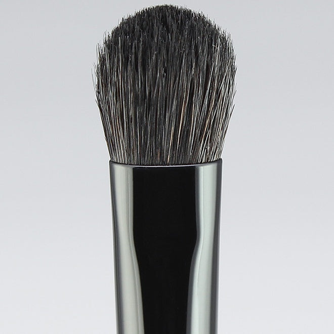 Hasegawa Gradation Brush (L) (KF101) | 4967834713017