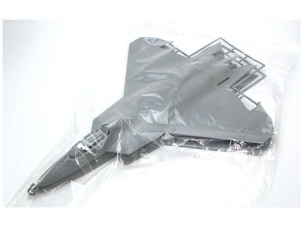 Hasegawa 1/48 F-22 Raptor | 4967834072459