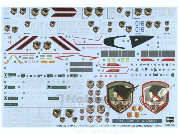 Hasegawa 1/72  F-14A TOMCAT "ACE COMBAT RAZGRIZ" | 4967834521131