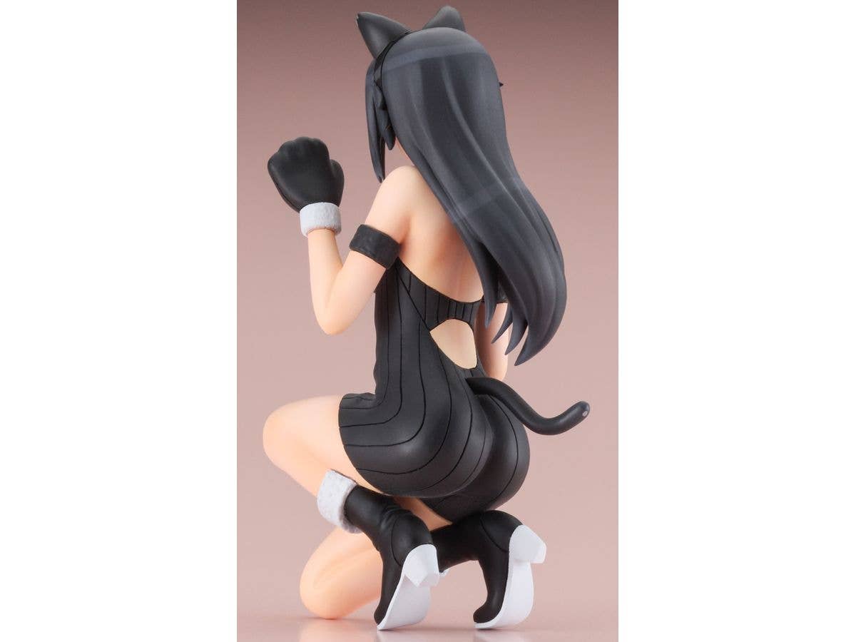 Hasegawa [SP554] 1/12 12 Egg Girls Collection No.37 “Haku Rinpha” (BLACK CAT) | 4967834523548