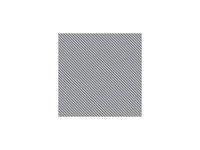Hasegawa Silver Carbon Finish 20 | 4967834718180