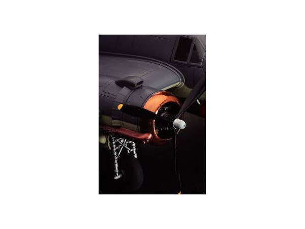 Hasegawa CUPPER MIRROR FINISH (TF8) | 4967834718081