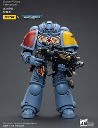 JOYTOY Space Wolves Intercessors | 6973130376625