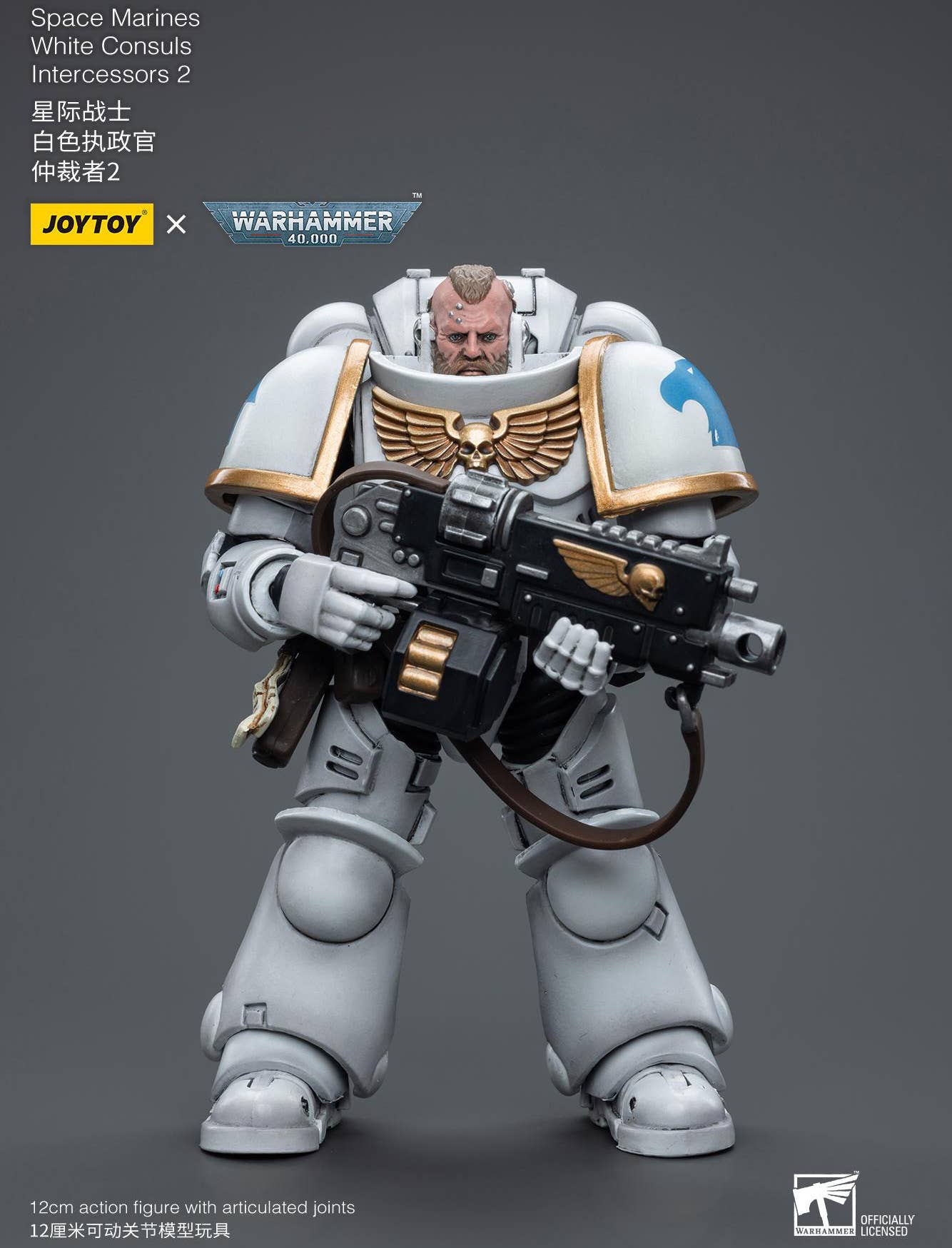 Joy Toy Space Marines White Consuls Intercessors 2 | 6973130376854