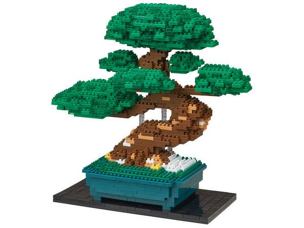 Nanoblock Advanced Hobby Series Bonsai Matsu Deluxe Edition "World Famous" | 4972825210116
