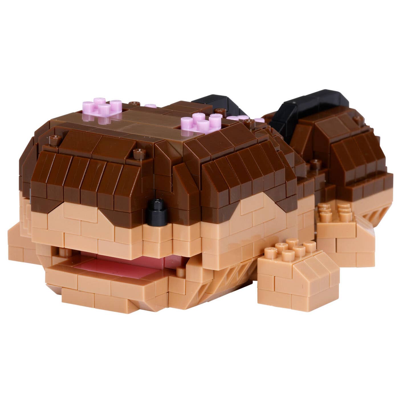 Clodsire | 4972825229057