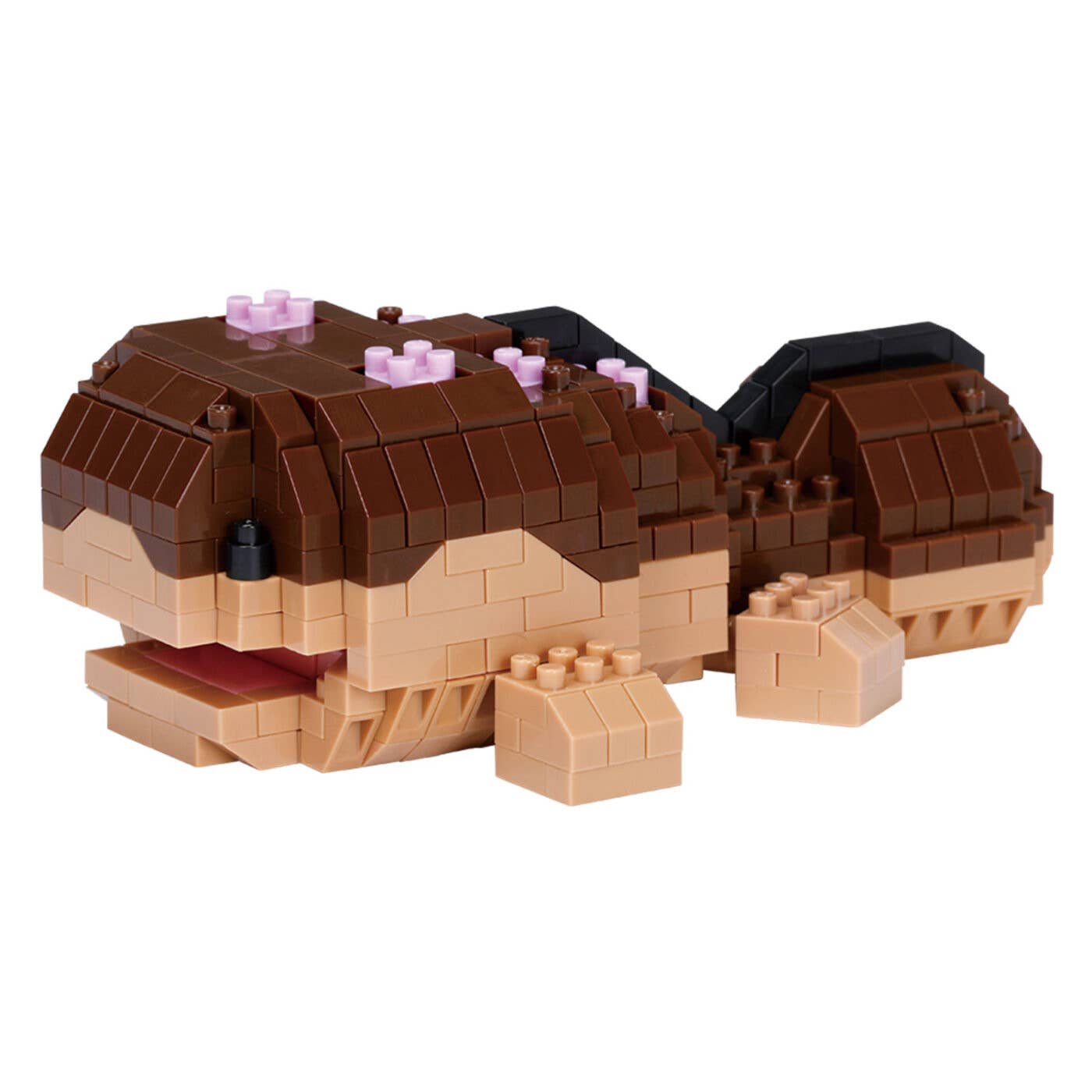 Clodsire | 4972825229057