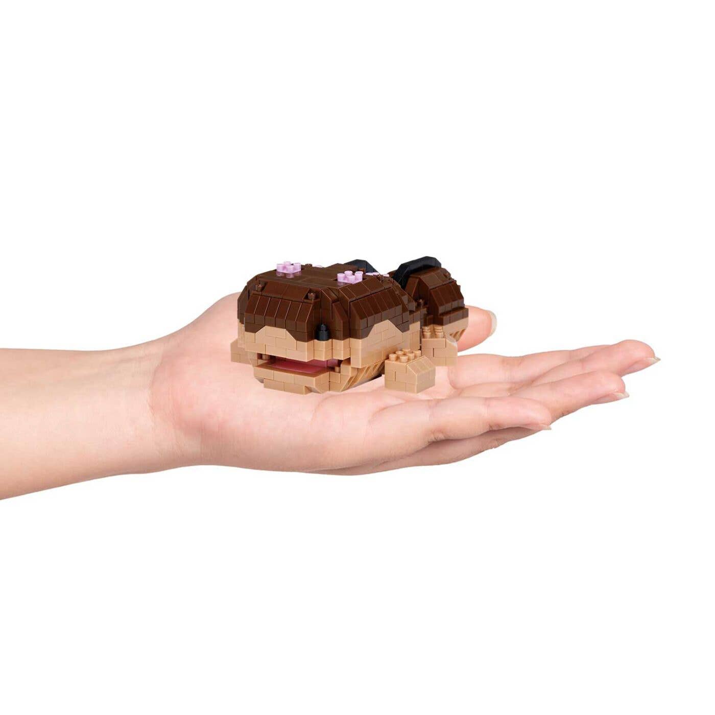 Clodsire | 4972825229057