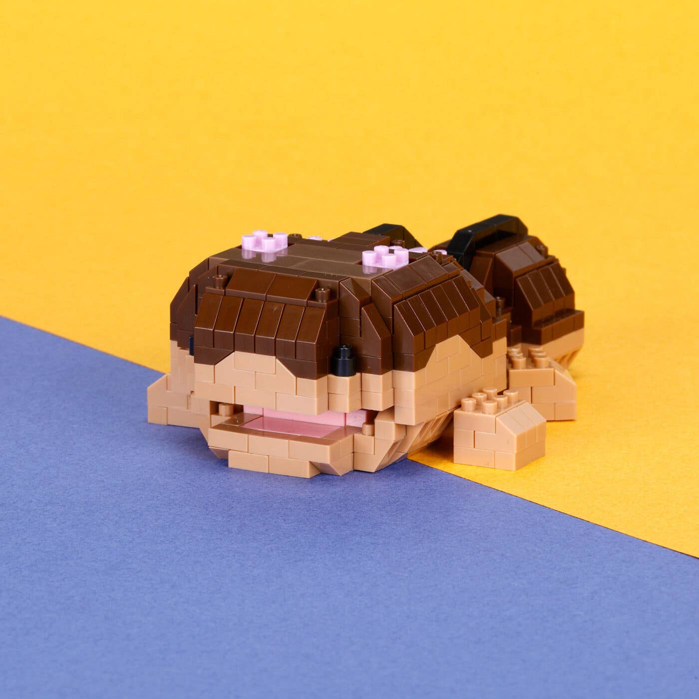 Clodsire | 4972825229057