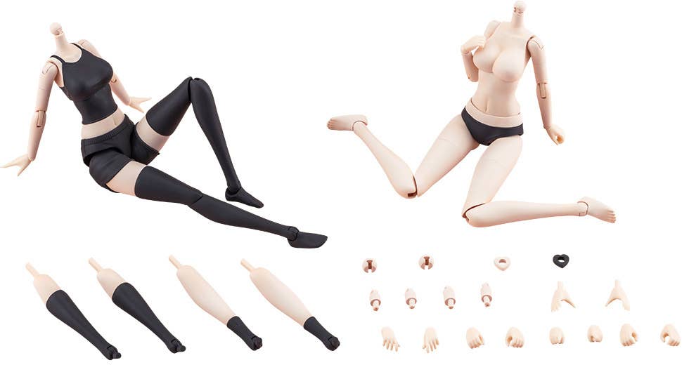 DRESS UP BODY[L] COLOR C Ver. | 4934054076963