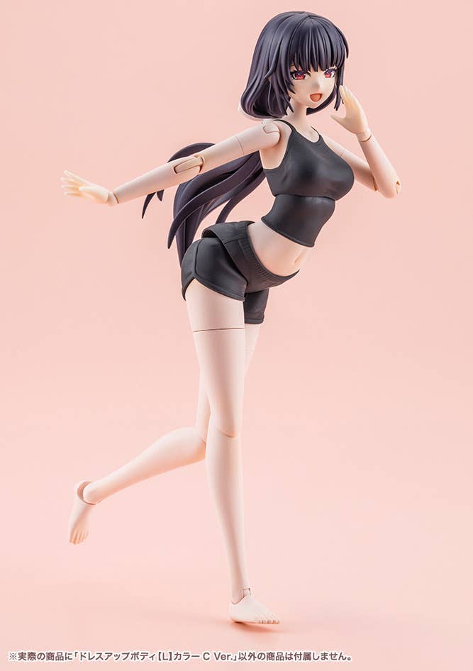 DRESS UP BODY[L] COLOR C Ver. | 4934054076963