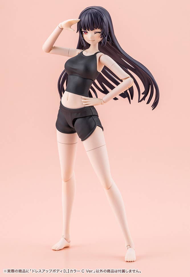 DRESS UP BODY[L] COLOR C Ver. | 4934054076963