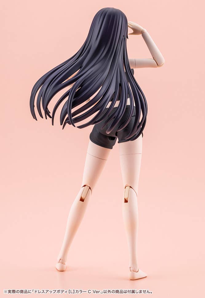 DRESS UP BODY[L] COLOR C Ver. | 4934054076963