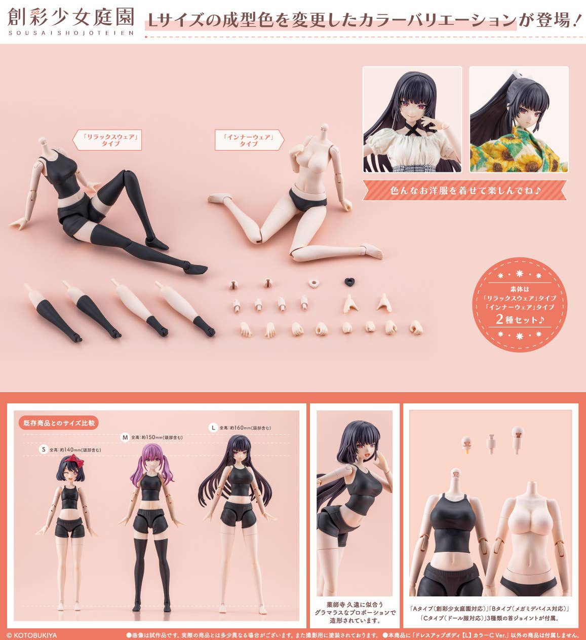 DRESS UP BODY[L] COLOR C Ver. | 4934054076963