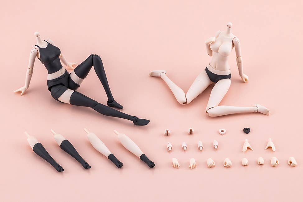 DRESS UP BODY[L] COLOR C Ver. | 4934054076963