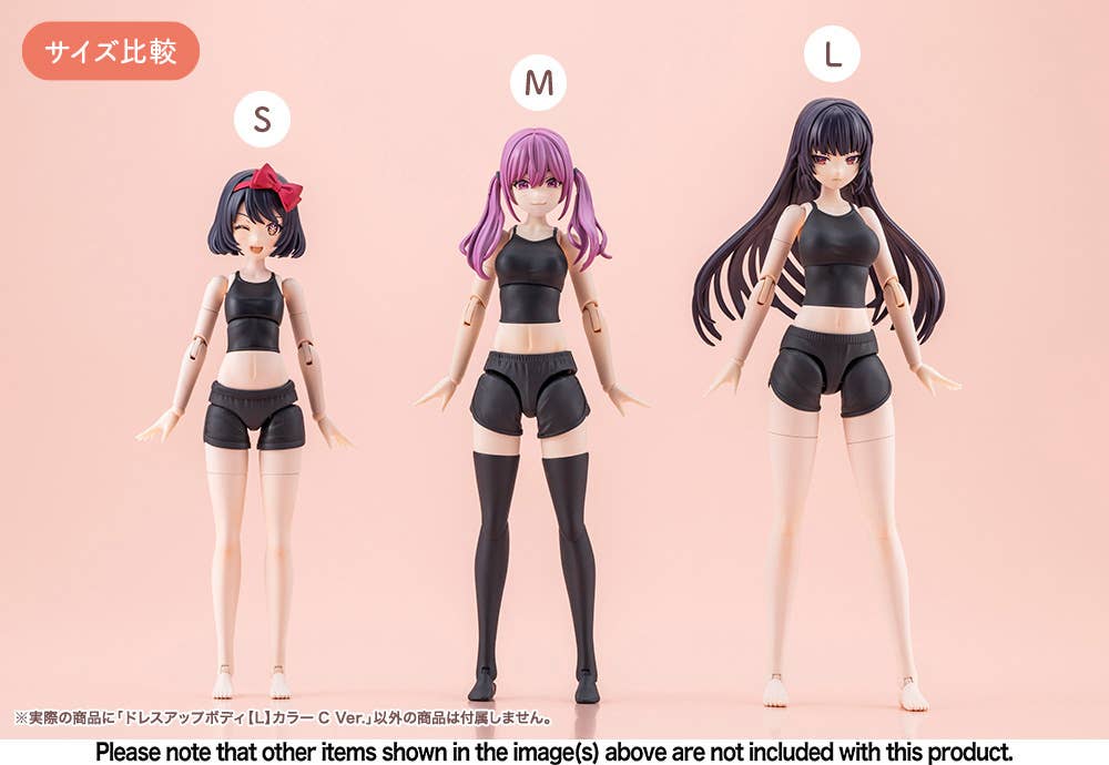 DRESS UP BODY[L] COLOR C Ver. | 4934054076963