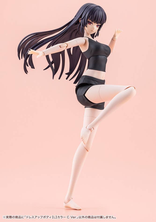 DRESS UP BODY[L] COLOR C Ver. | 4934054076963