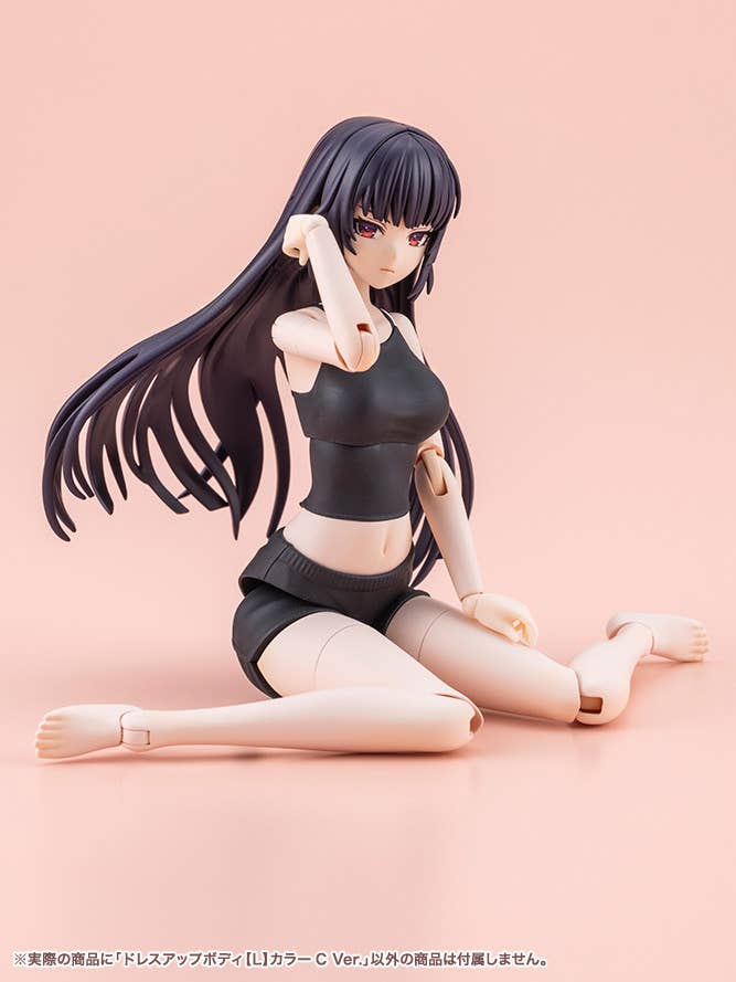 DRESS UP BODY[L] COLOR C Ver. | 4934054076963