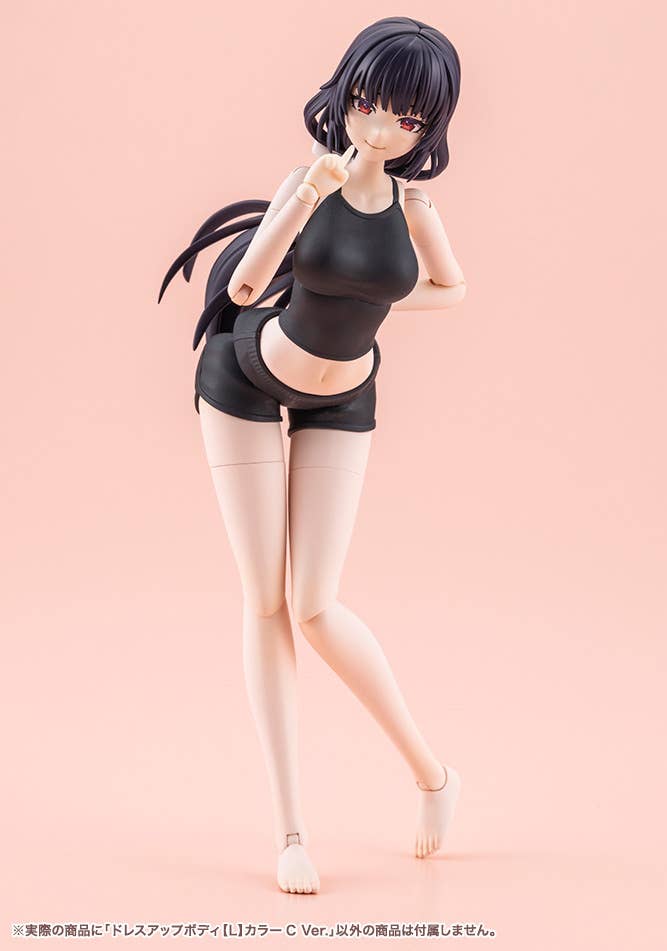 DRESS UP BODY[L] COLOR C Ver. | 4934054076963