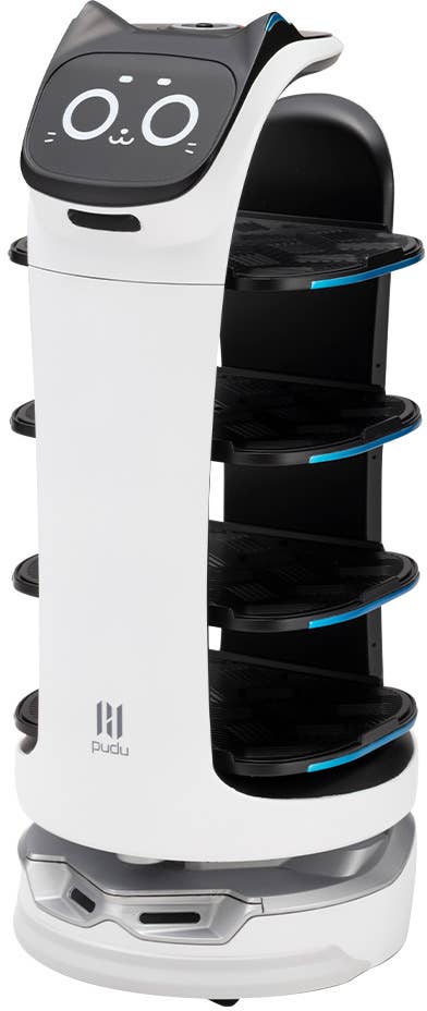 GRANDE SCALE BellaBot | 4934054075690