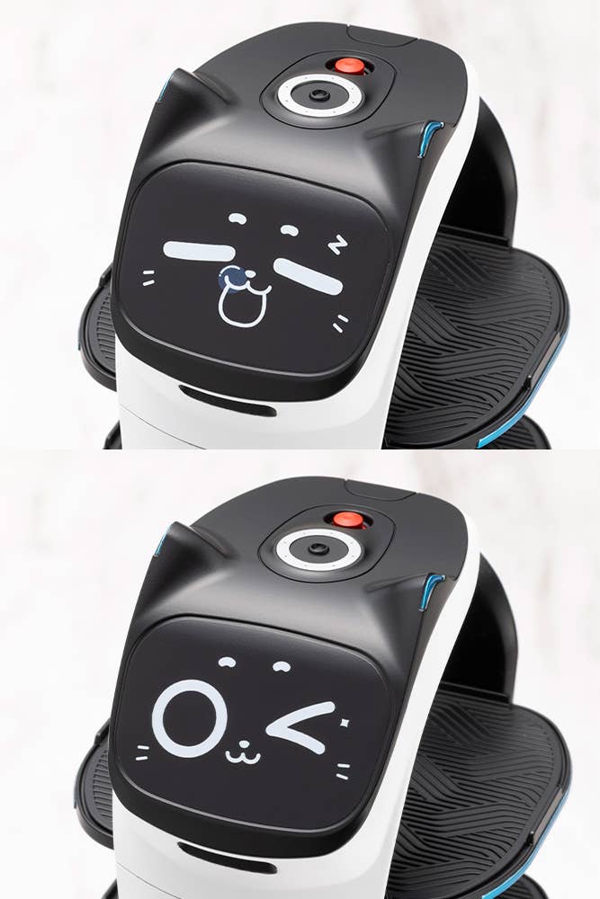 GRANDE SCALE BellaBot | 4934054075690