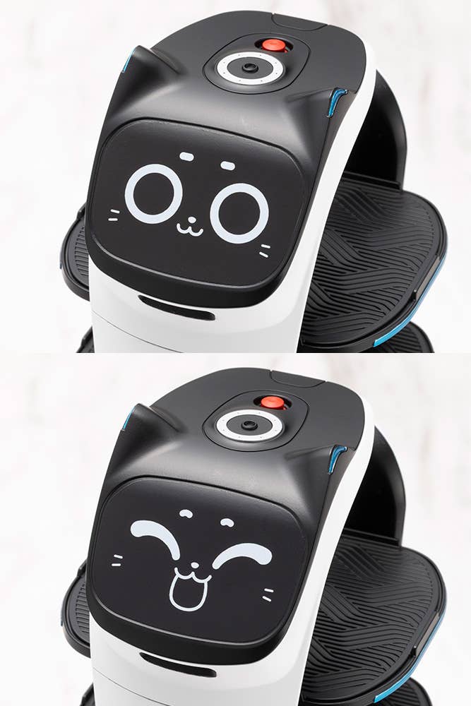 GRANDE SCALE BellaBot | 4934054075690